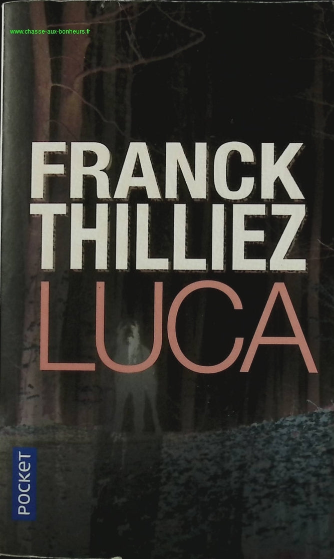 Luca - Franck Thilliez - livre