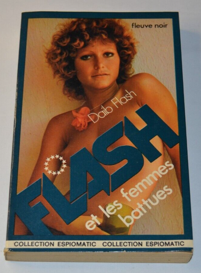 Flash and the Battered Women - Daib Flash - book