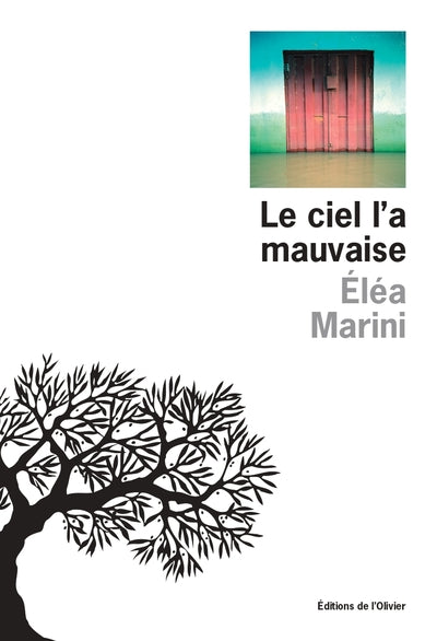 Le Ciel l'a mauvaise – Eléa Marini – Roman contemporain, catastrophe climatique et reconstruction humaine - Livre