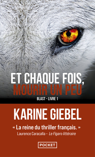 Et chaque fois mourir un peu Livre 1 Blast Karine Giebel Thriller roman noir - Livre