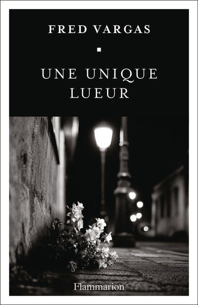 Une unique lueur Fred Vargas livre occasion – roman policier français enquête suspense sombre commissaire Adamsberg - Livre