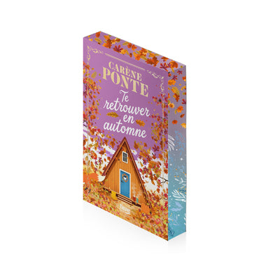 Te retrouver en automne et T’aimer à Noël – Carène Ponte – Romance contemporaine - Livre