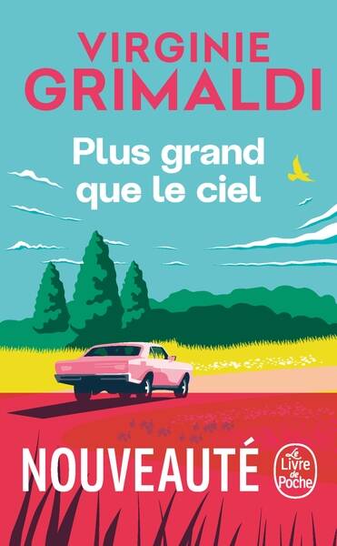Plus grand que le ciel – Virginie Grimaldi – roman contemporain émotion drame familial reconstruction amour d’occasion - livre