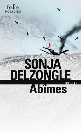 Abgründe – Sonja Delzongle – Buch