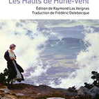 Wuthering Heights - Emily Brontë - Buch / 2