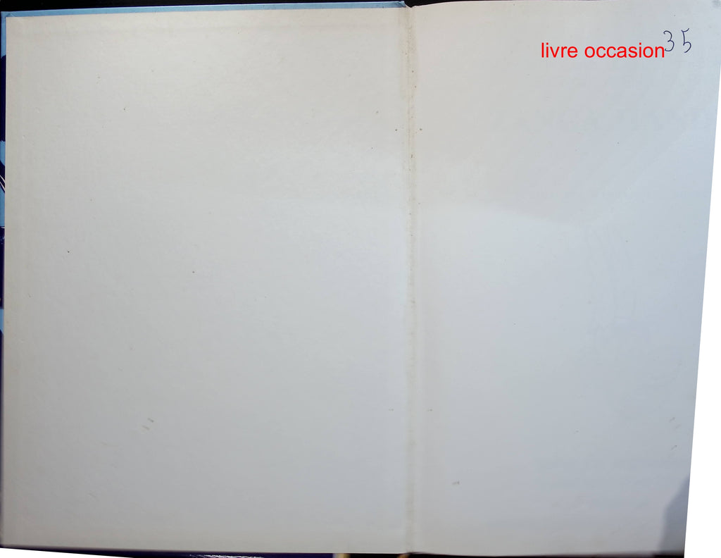 Jemand Gutes – Françoise Bourdin – Buch