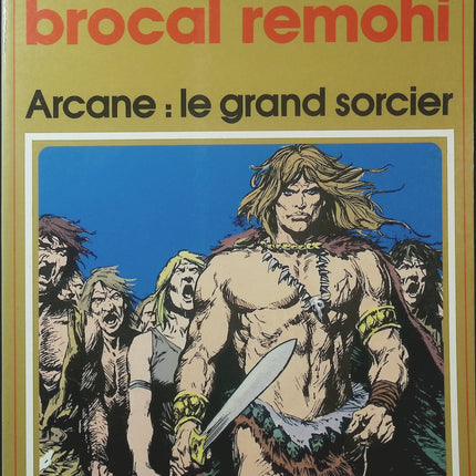 Arcane – Le grand sorcier – Jaime Brocal Remohi – Collection Pilote – BD heroic fantasy - Livre BD