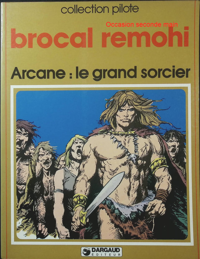 Arcane – Le grand sorcier – Jaime Brocal Remohi – Collection Pilote – BD heroic fantasy - Livre BD