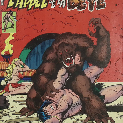 Conan le Barbare N°18 – L’Appel de la Bête – Marvel Comics – Comics vintage d’occasion - Livre BD
