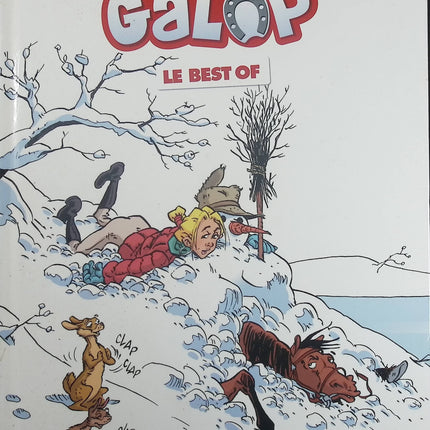 Triple Galop – Le best of – bande dessinée humour équestre – Benoît Du Peloux - Livre BD