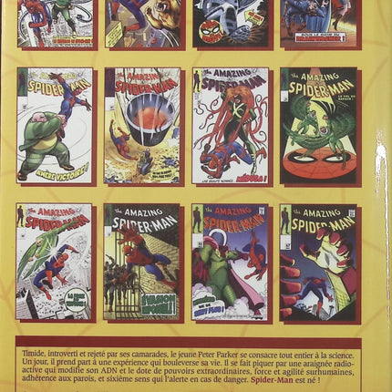 Spider-Man - L’Intégrale, tome 6 : 1968 – Stan Lee, John Romita – Marvel, comics, super-héros - Livre BD