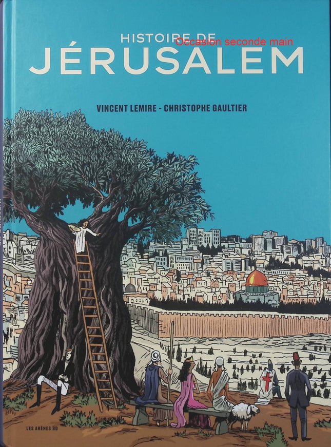 Histoire de Jérusalem – Vincent Lemire, Christophe Gaultier – bande dessinée historique sur Jérusalem, les religions et le Proche-Orient - Livre BD