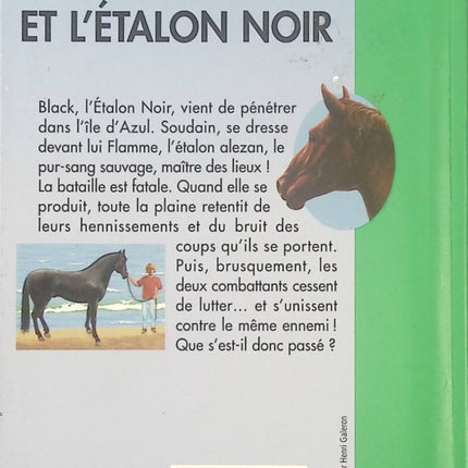 L’Étalon Noir – Flamme et l’Étalon Noir – Roman jeunesse d’aventure équestre, chevaux sauvages et complicité avec Walter Farley - Bibliothèque Verte - Livre