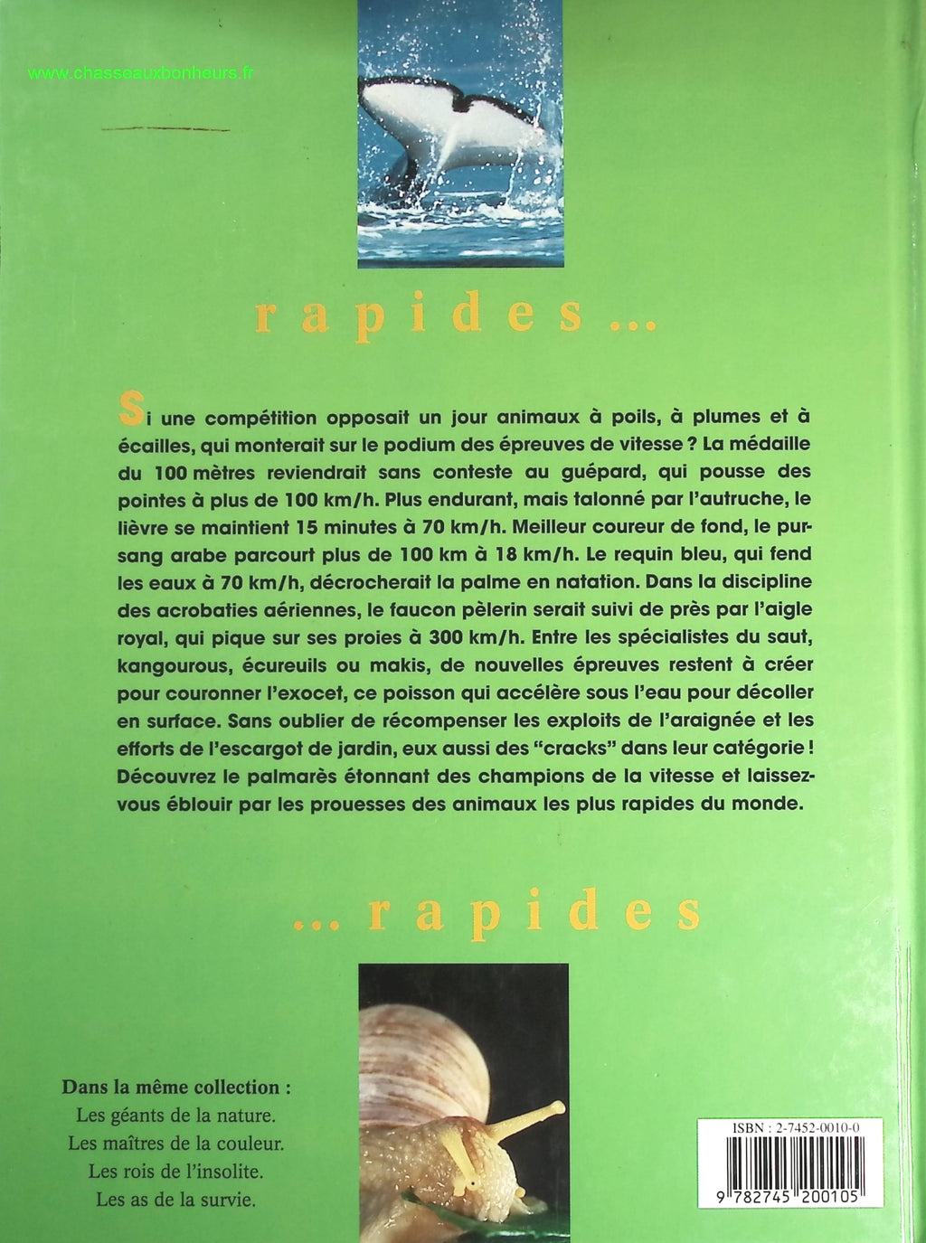 Someone Good - Françoise Bourdin - book