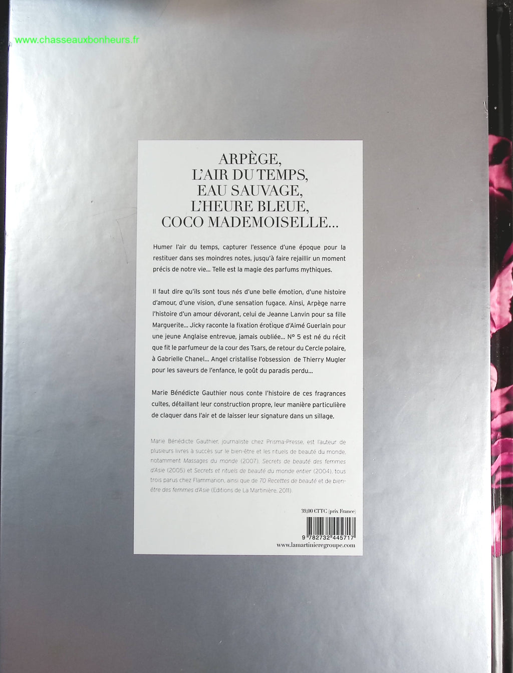 Someone Good - Françoise Bourdin - book