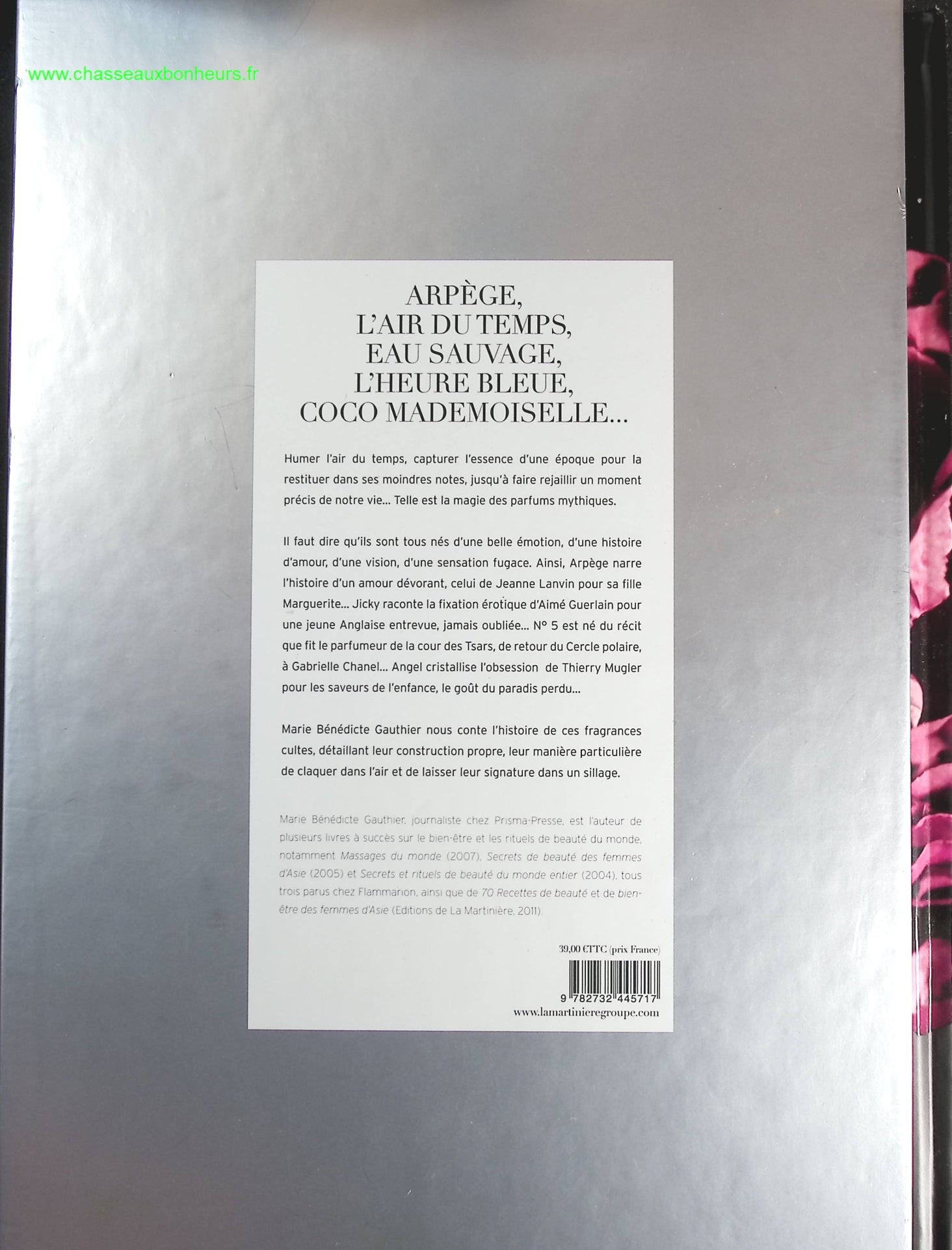 Someone Good - Françoise Bourdin - book