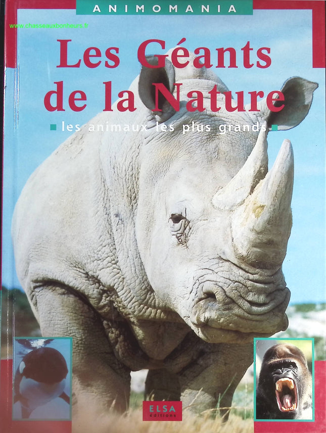 Jemand Gutes – Françoise Bourdin – Buch