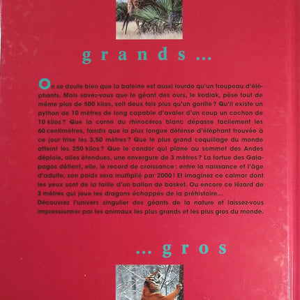 Jemand Gutes – Françoise Bourdin – Buch