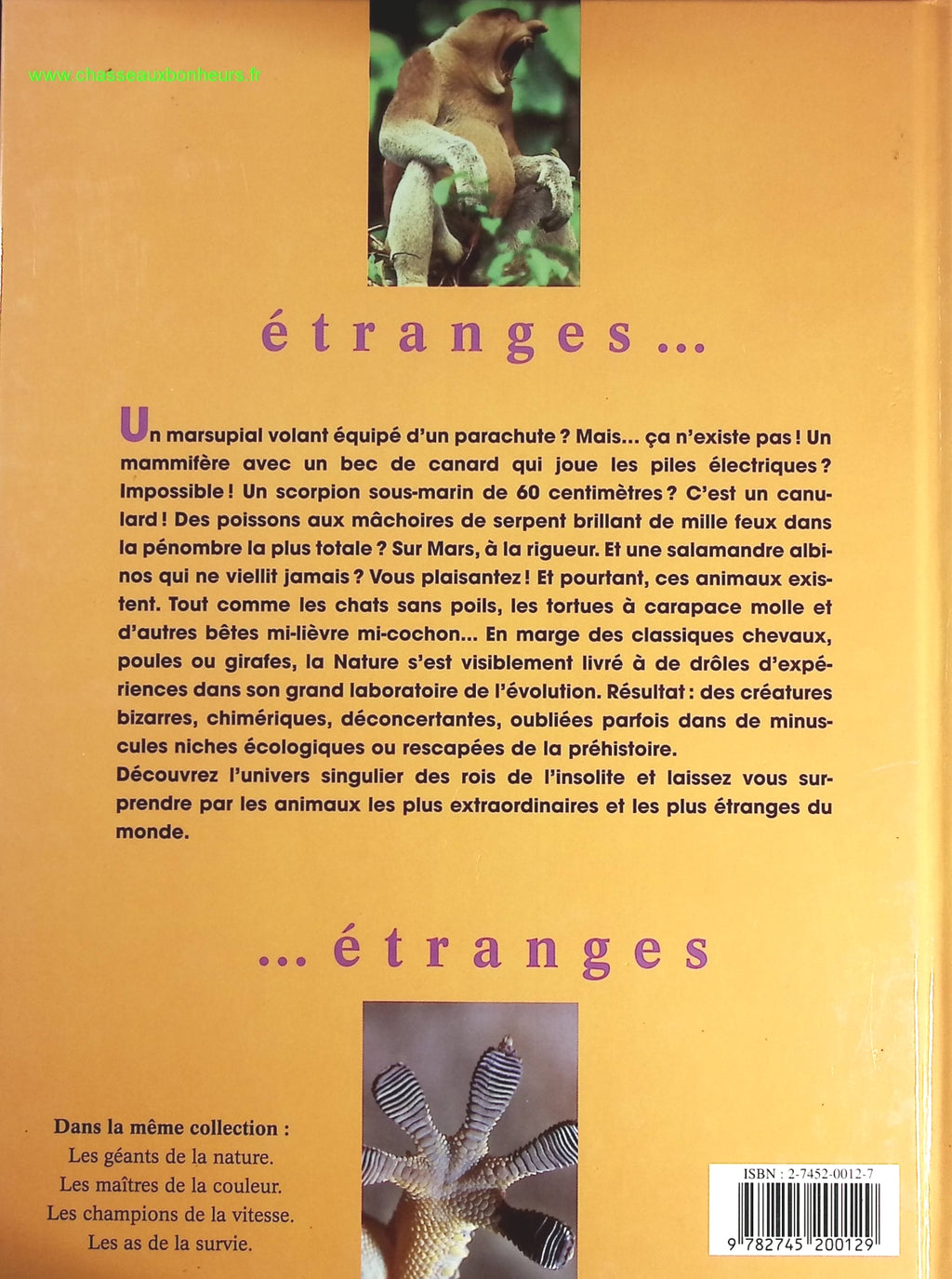 Someone Good - Françoise Bourdin - book