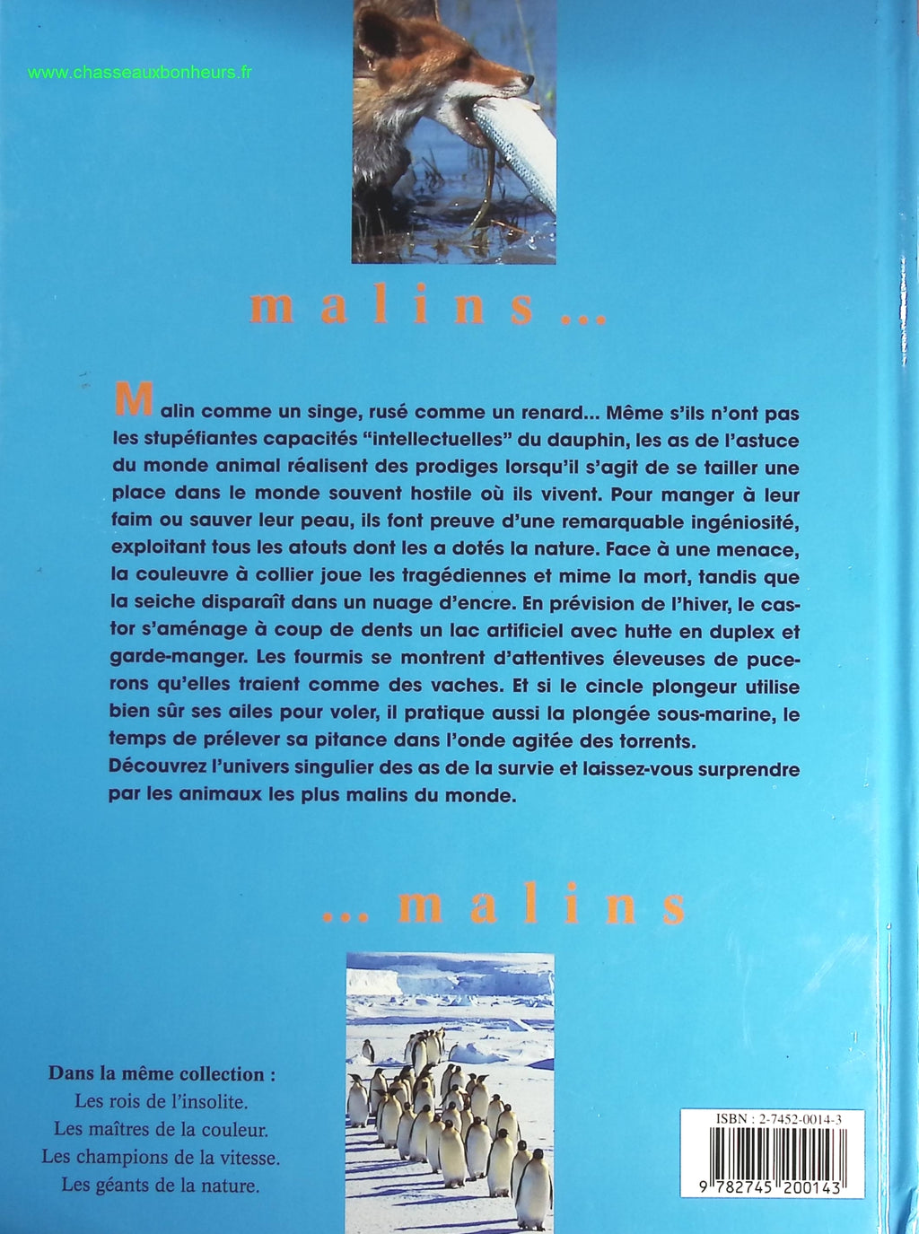 Someone Good - Françoise Bourdin - book