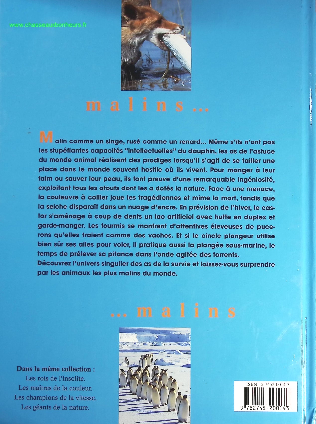 Someone Good - Françoise Bourdin - book