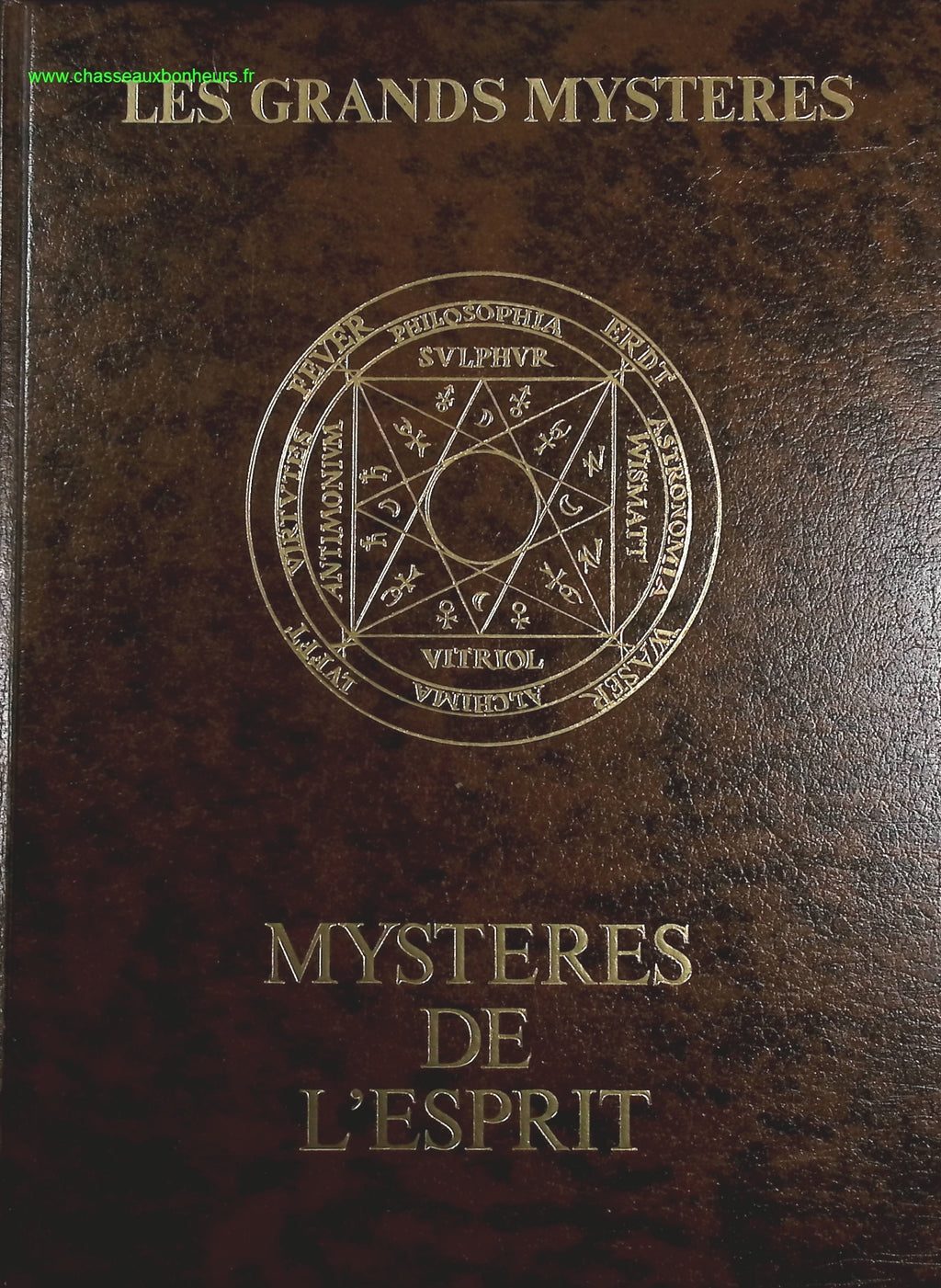 Someone Good - Françoise Bourdin - book