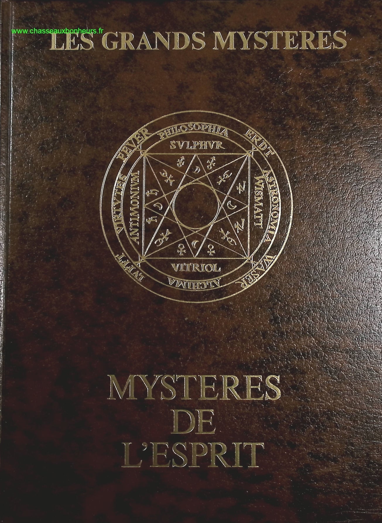 Someone Good - Françoise Bourdin - book