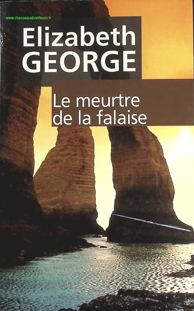 Someone Good - Françoise Bourdin - book