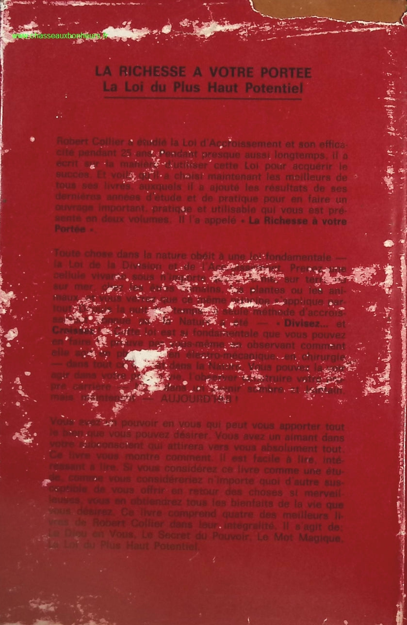 Someone Good - Françoise Bourdin - book