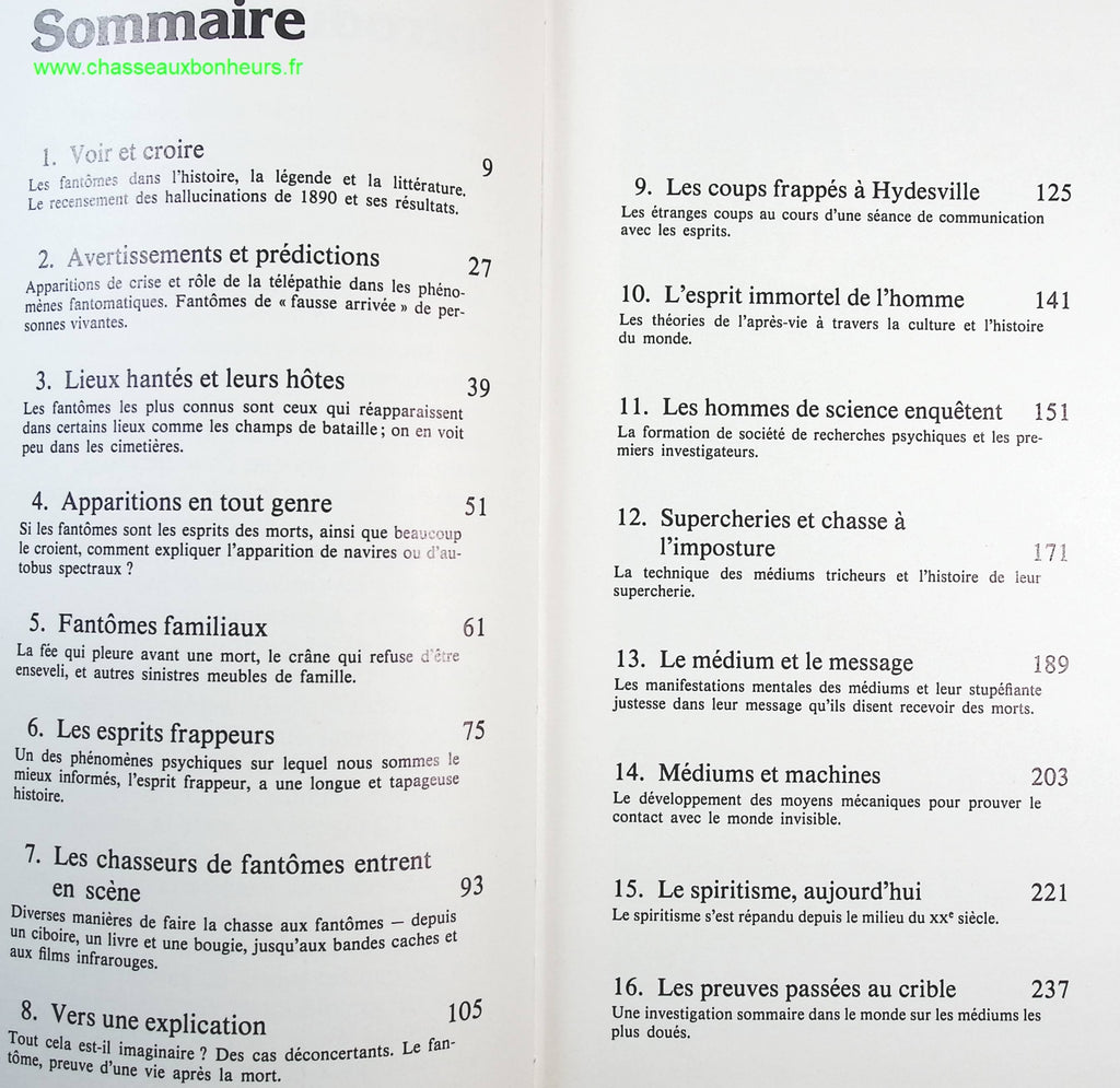 Someone Good - Françoise Bourdin - book