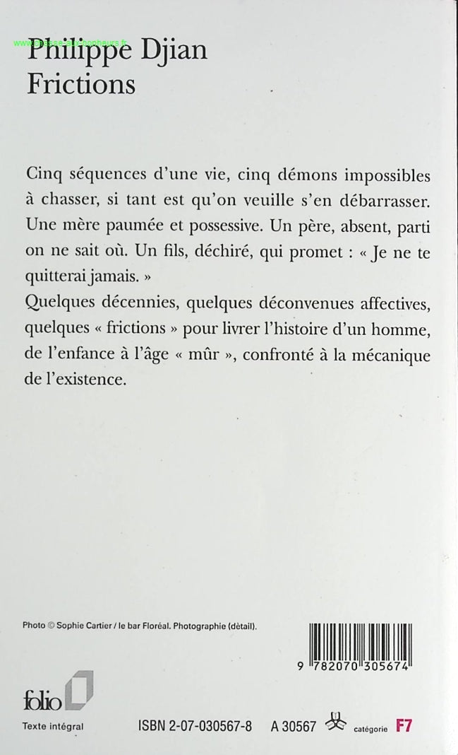 Frictions - Philippe Djian - book