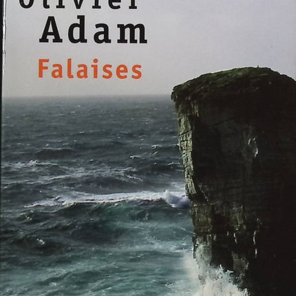 Falaises - Olivier Adam - livre