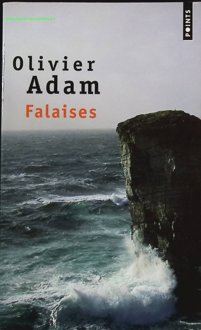 Cliffs - Olivier Adam - book