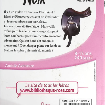 Someone Good - Françoise Bourdin - book