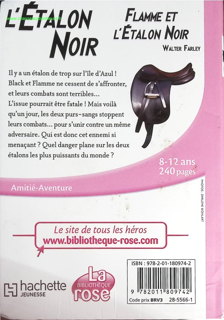 Someone Good - Françoise Bourdin - book