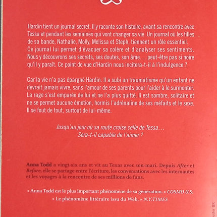 Someone Good - Françoise Bourdin - book