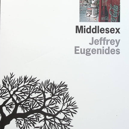 Middlesex - Jeffrey Eugenides - Livre
