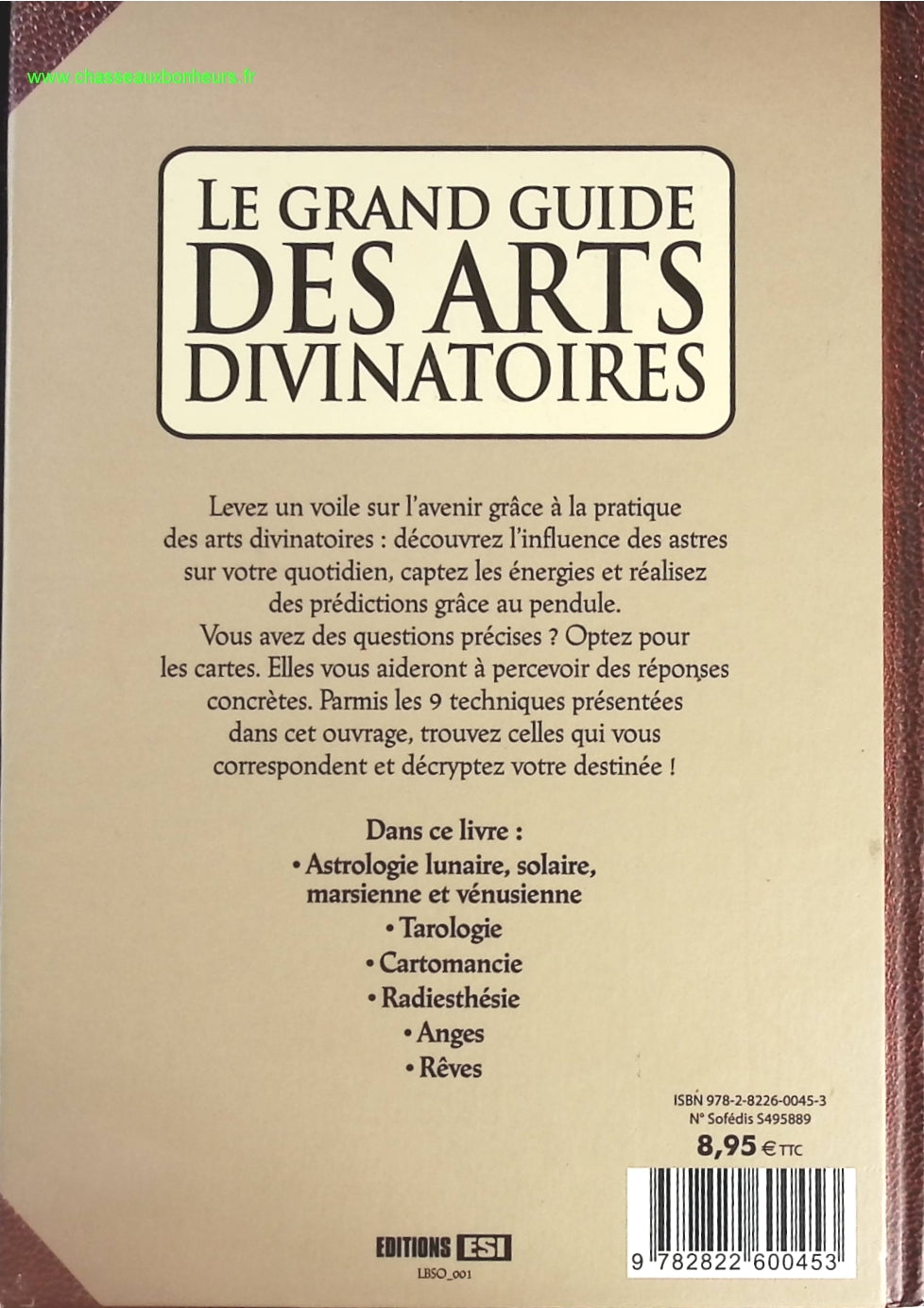 Someone Good - Françoise Bourdin - book