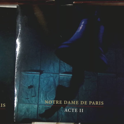Notre Dame de Paris – Vollständige Fassung im Palais des Congrès – Verschiedene Künstler – CD