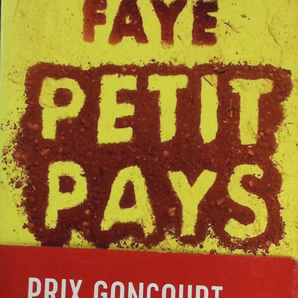 Petit Pays roman contemporain Rwanda Burundi enfance guerre mémoire occasion – Gaël Faye - livre