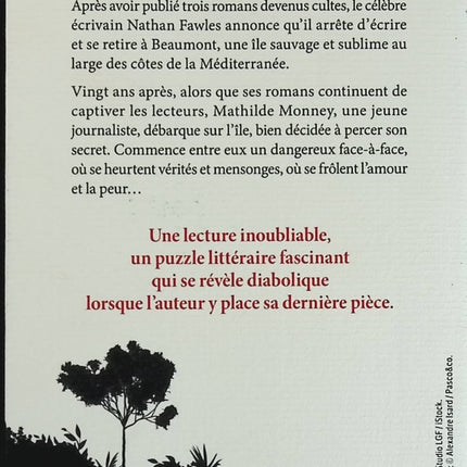 Das geheime Leben der Schriftsteller - Guillaume Musso - Buch