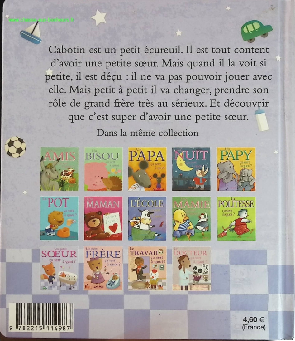 Was nützt eine kleine Schwester? - Sophie Bellier - Buch