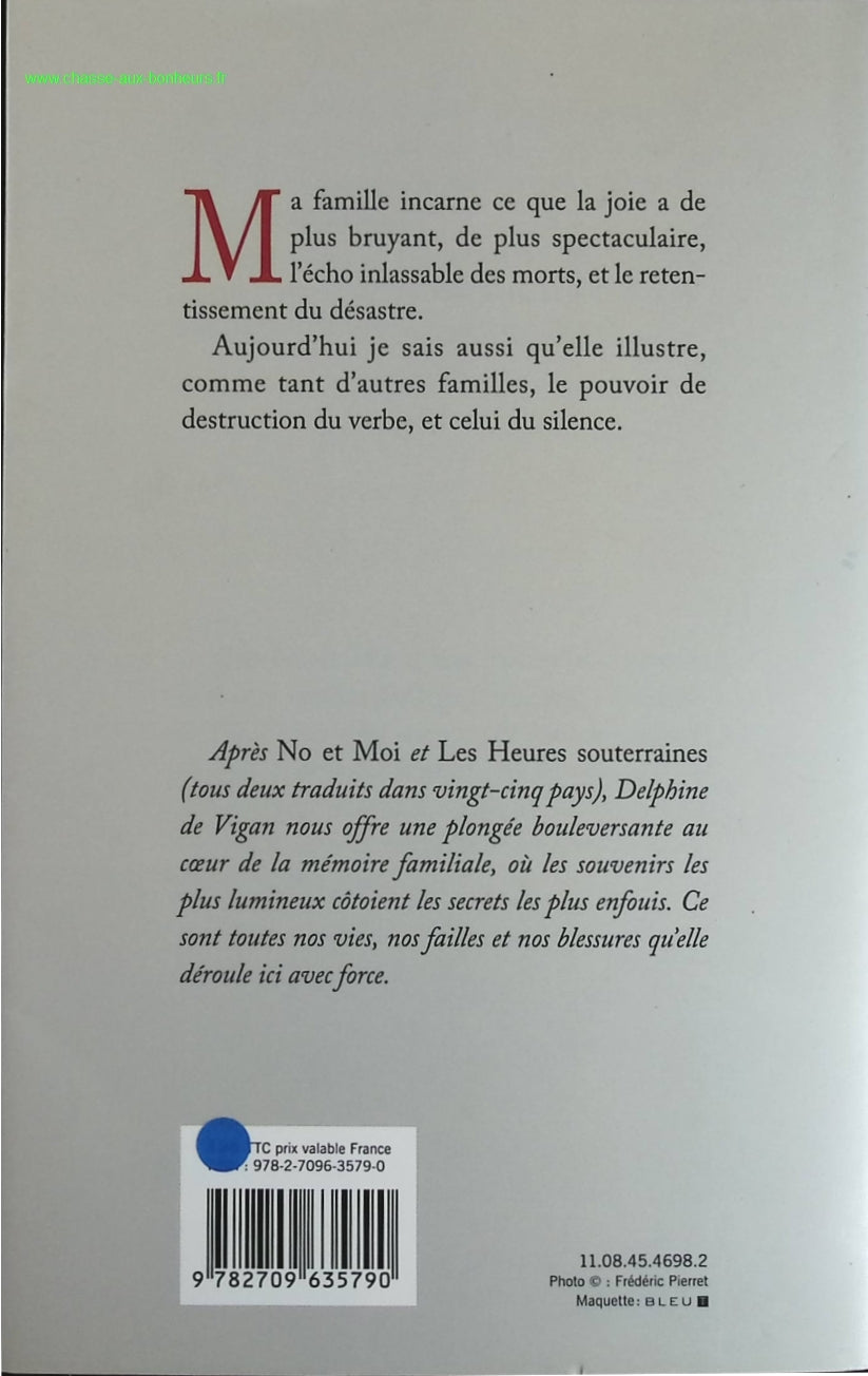 Nothing Stands in the Way of the Night - Delphine de Vigan - book