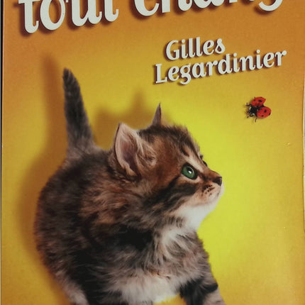 And suddenly everything changes - Gilles Legardinier - book