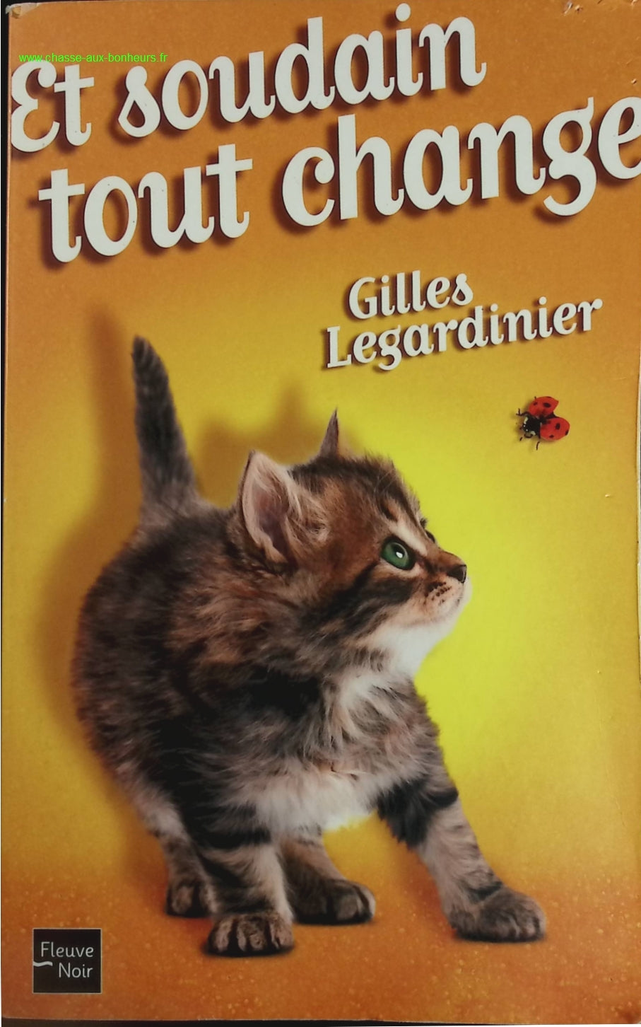 And suddenly everything changes - Gilles Legardinier - book