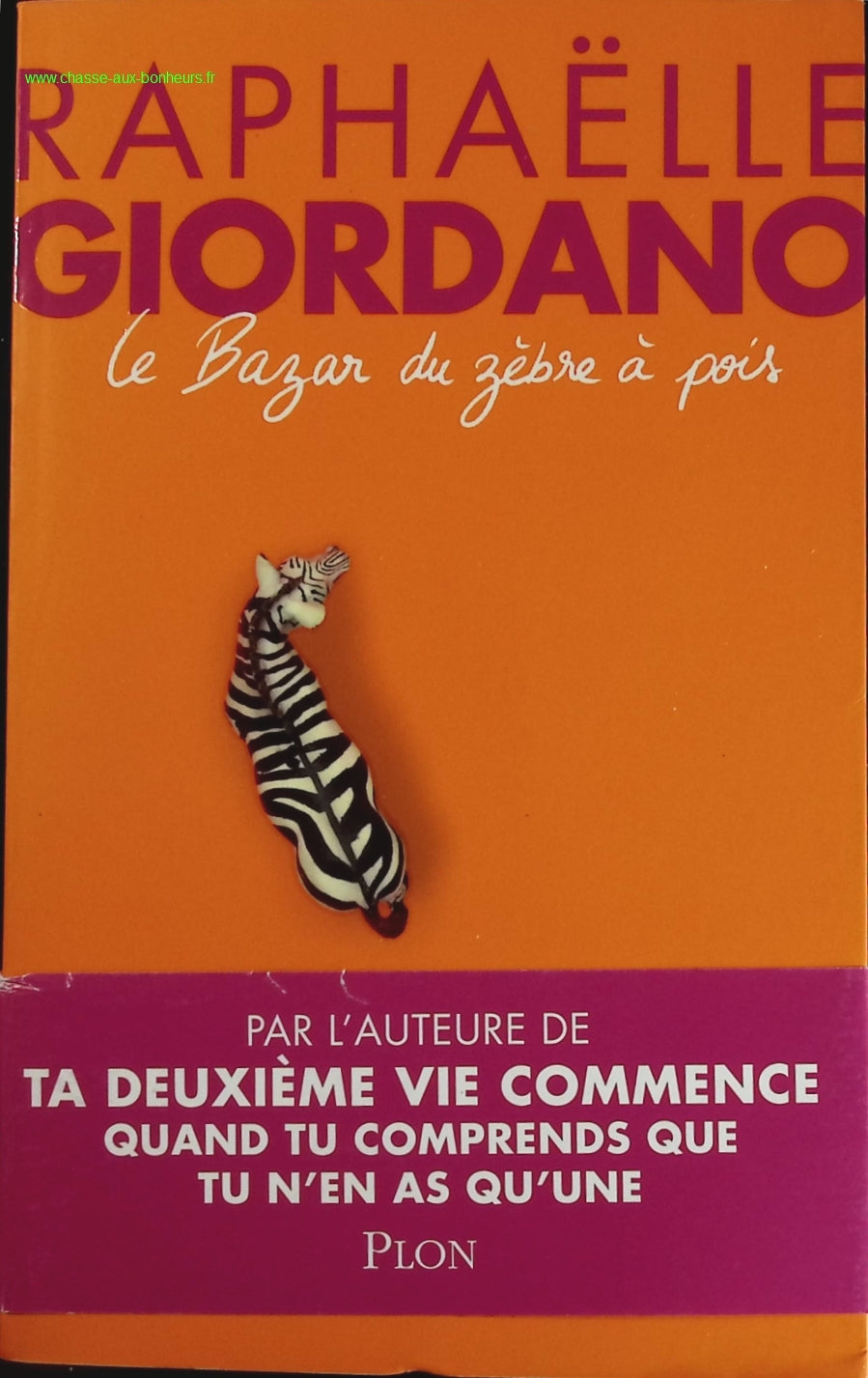 The Polka-Dot Zebra Bazaar - Raphaëlle Giordano - book