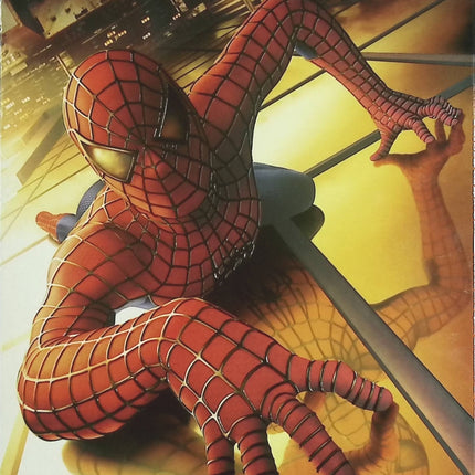 Spider-Man Édition Collector – Tobey Maguire – DVD film super-héros Marvel action - DVD