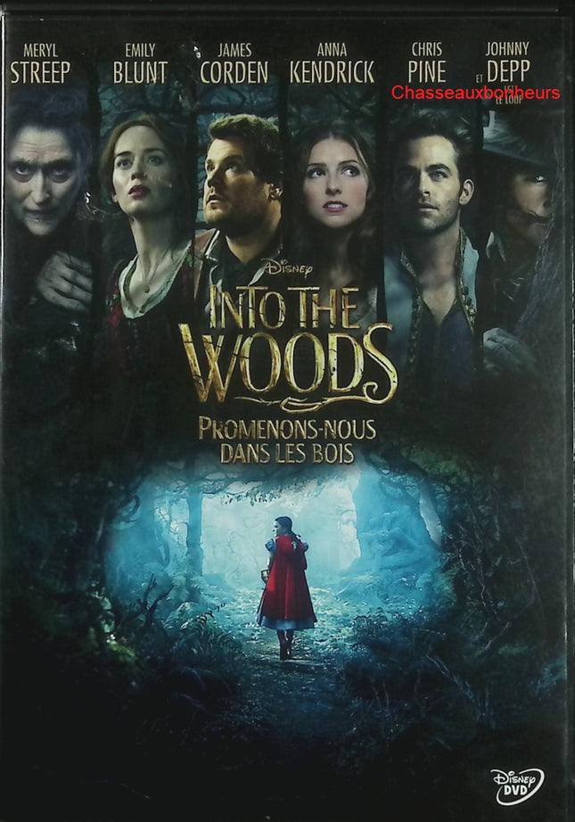 Into the Woods Promenons-nous dans les bois DVD occasion – Meryl Streep – comédie musicale fantastique - DVD