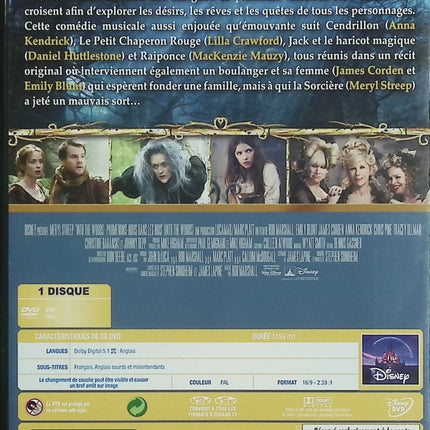 Into the Woods Promenons-nous dans les bois DVD occasion – Meryl Streep – comédie musicale fantastique - DVD