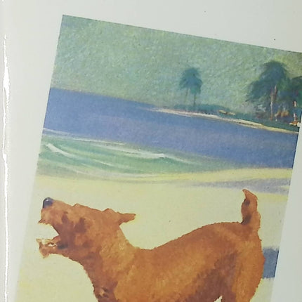 Jerry, chien des îles - Jack London - Livre